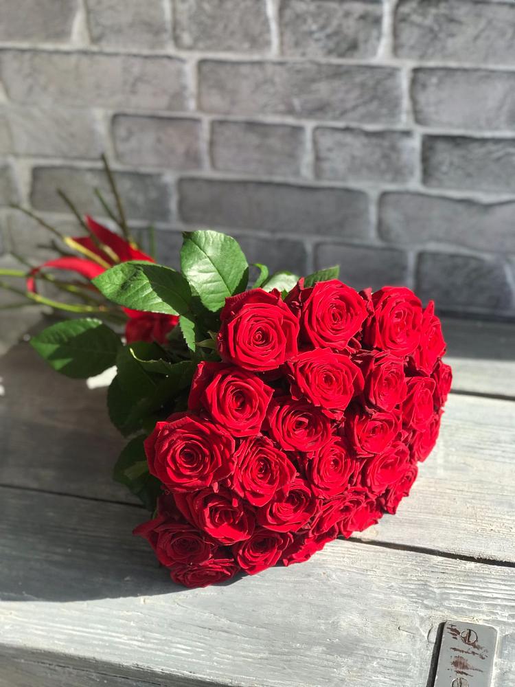 Букет Красные розы Фридом в Высоком Краснодарский край