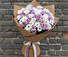 Букет цветов из:  Хризантемы #REPLACE_PRED# Высоком Краснодарский край