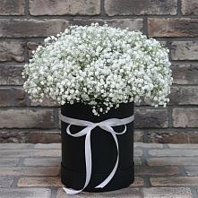 Цветочная композиция из Гипсофила в шляпной коробке в Высоком Краснодарский край