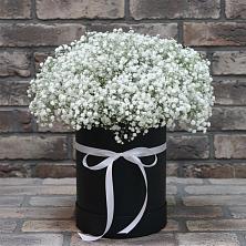 Цветочная композиция из Гипсофила в шляпной коробке в Высоком Краснодарский край